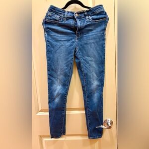 Madewell Classic Blue Skinny Jeans